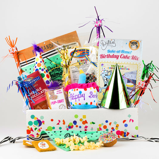 Birthday Paw-ty Buddies Gift Box for Dog Owners