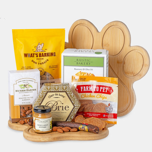 Pawsitively Gourmet Picnic Adventure Buddies by Lucca Gift Box for Dog Owners