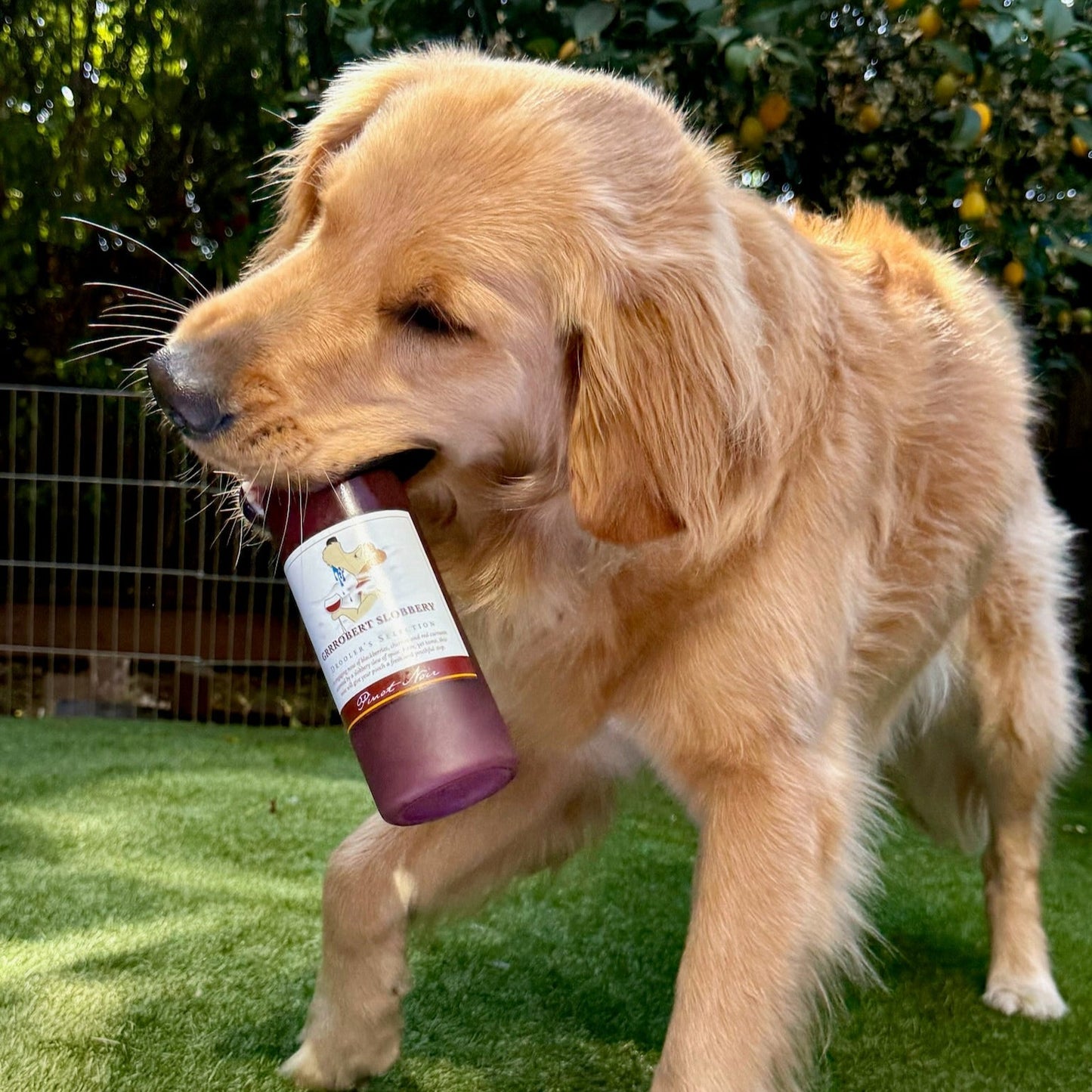 'Tails and Tastings' Wine Gift Basket for Dog Owners